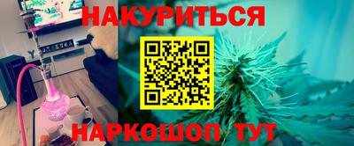 тгк Гай