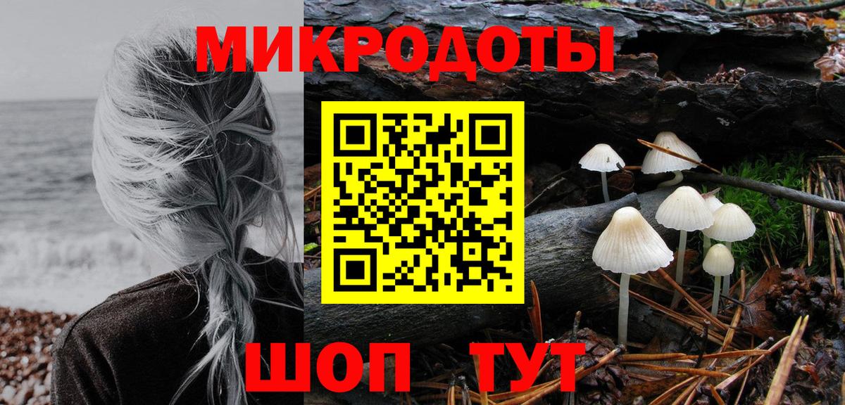Псилоцибиновые грибы мицелий  Вход с VPN  Бийск 