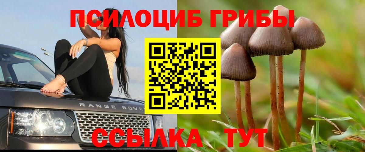 Псилоцибиновые грибы Magic Shrooms Бийск